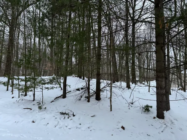 10953 Shawnee Trl, Stanwood, MI 49346