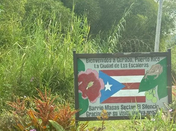 State Highway 945, Gurabo, PR 00778