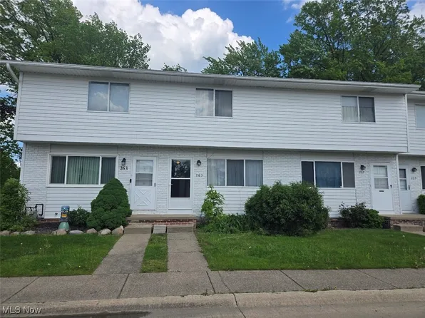 265 University Ave, Painesville, OH 44077