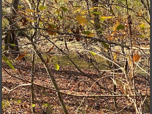 4th image of 22 Hidden Pines Loop