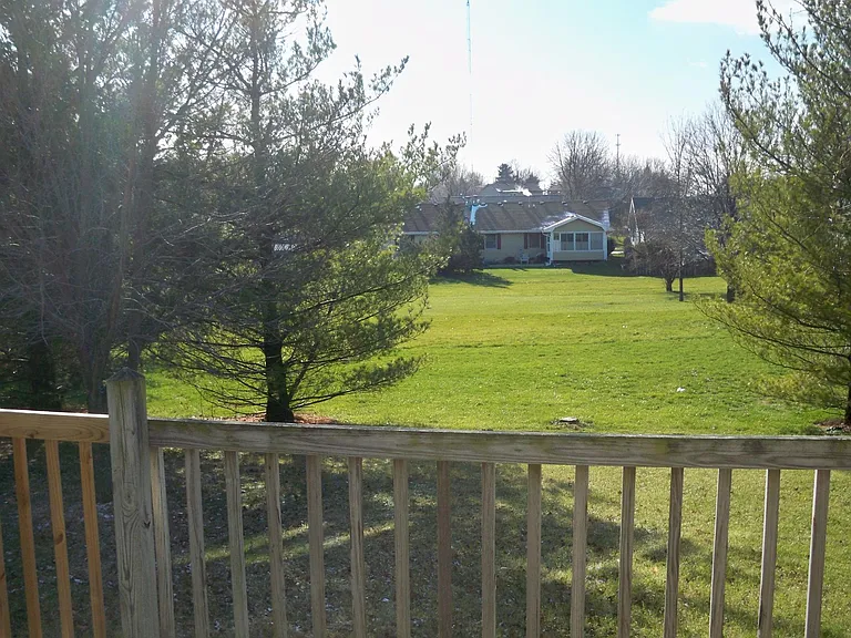 back yard view