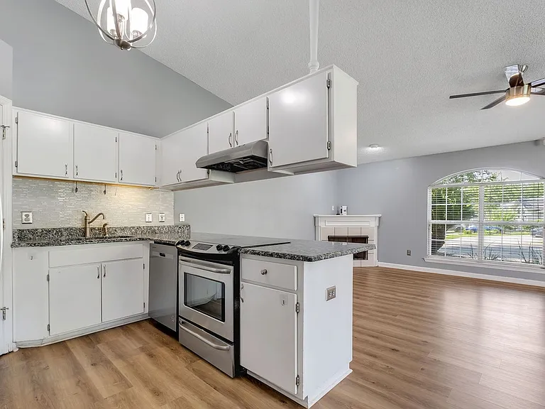 2432 Needle Palm Way — Photo 10