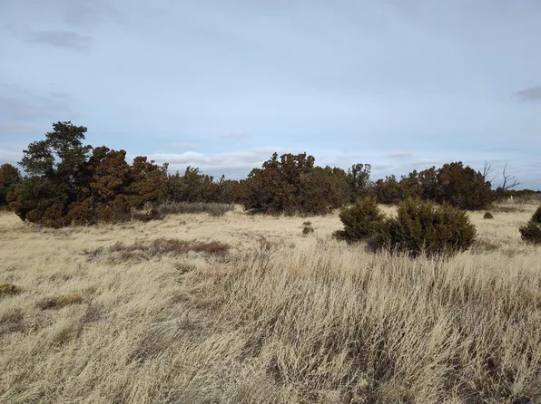 7th St E, Mountainair, NM 87036