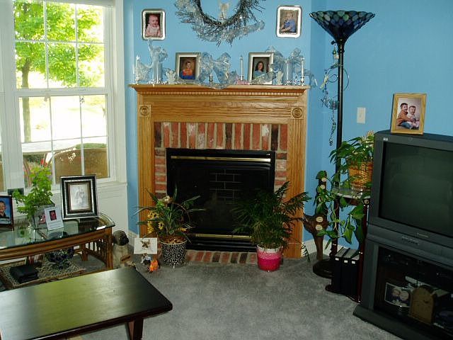 Cozy Fireplace