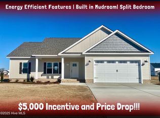 211 Rae Dr, Pikeville, NC 27863