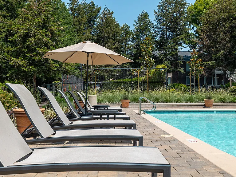 Lounge Chairs