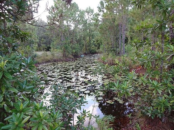 4th image of 905 Rainbow Lake Ln