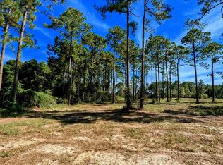 31870 Grafton Rd, Lillian, AL 36549