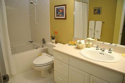 Master suite with jacuzzi tub