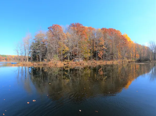 Vl S Eden Lake Rd, Custer, MI 49405