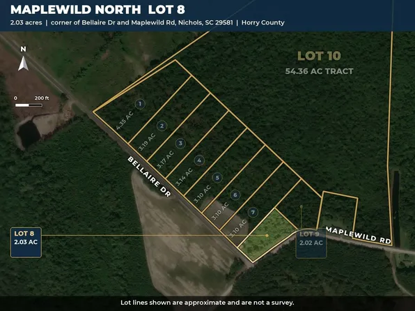 TBD Bellaire Dr. Lot 8, Nichols, SC 29581