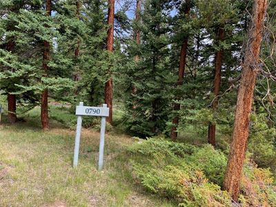 790 Penstemon Rd, Dillon, CO, 80435