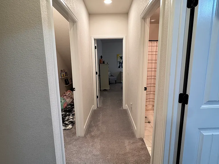 12996 S Sibrica St — Photo 40