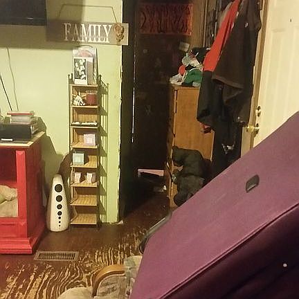 3rd image of 38 Forest Ln
