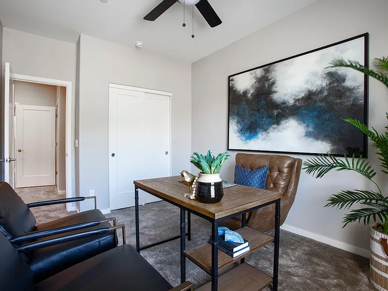 Viceroy Luxury Townhomes - New Construction — Photo 5