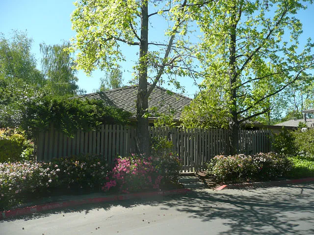21076 Red Fir Ct photo 1
