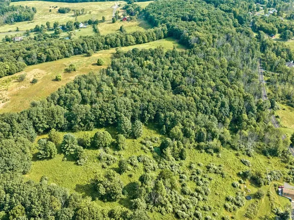 501 Bunn Hill Rd, Vestal, NY 13850