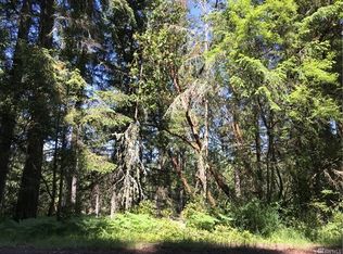 11507 Breaker Way, Anderson Island, WA 98303