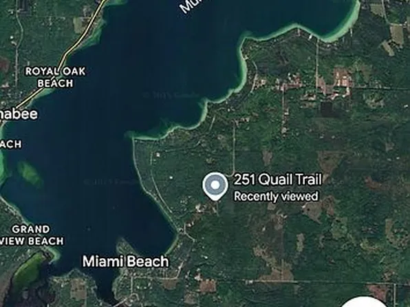 251 Quail Trl, Indian River, MI 49749