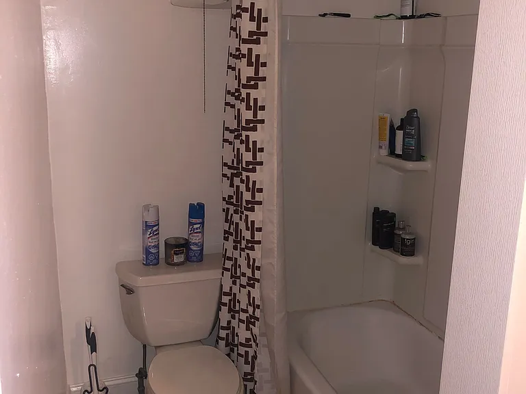 Bathroom shower and toilet area