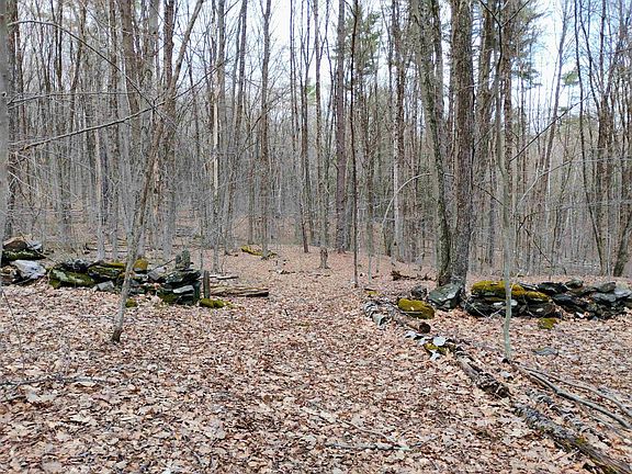 4th image of Lot 1 Faraway (Jones) Road