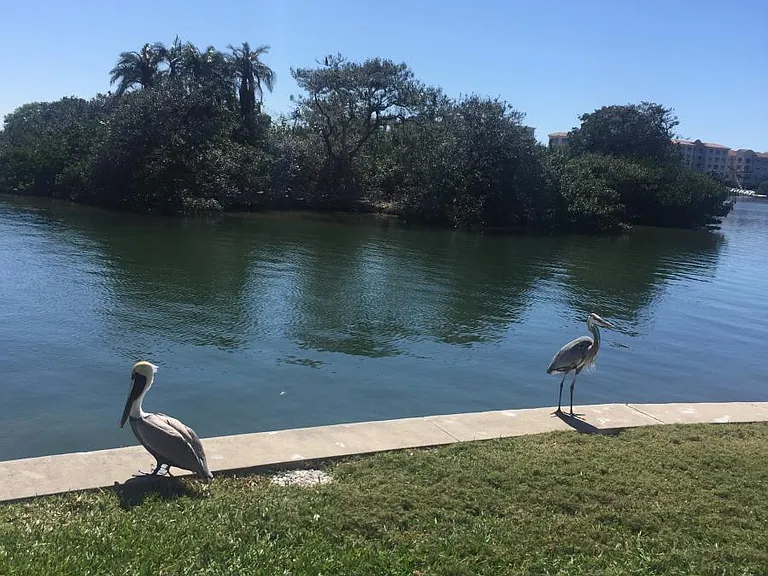 Walking around the complex