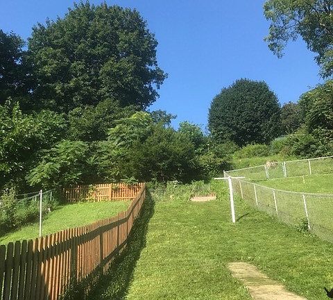 Back Yard partially fenced in