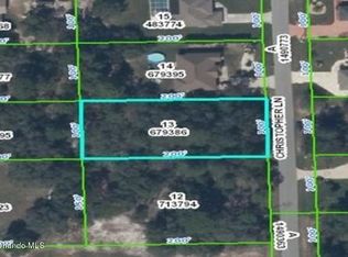 8253 Christopher Ln, Weeki Wachee, FL 34613
