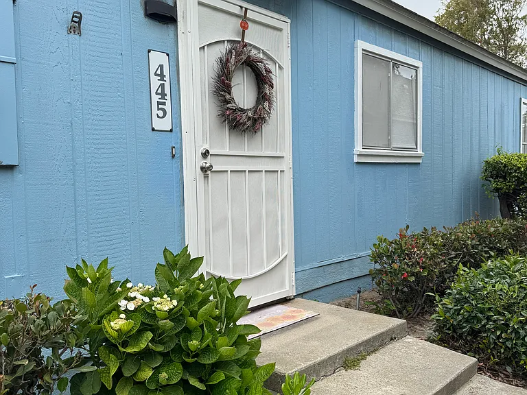 Front landing steps