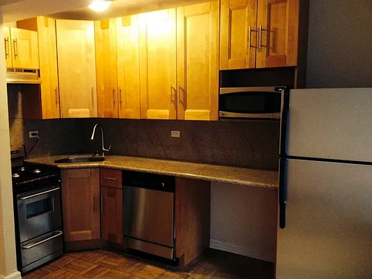 Rented by Luxus Manhattan Realty | media 46