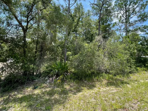 418 Kings Creek Ct, Steinhatchee, FL 32359