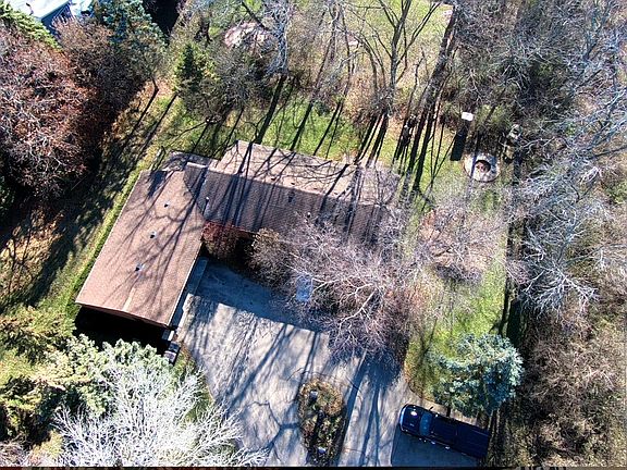 secluded in trees