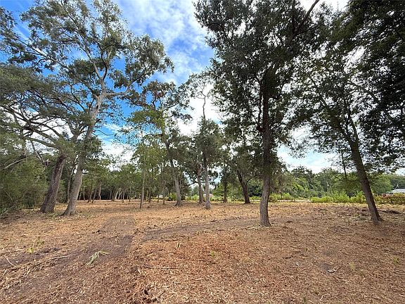 4th image of LOT 12A1 County Road 345