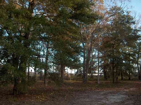 4th image of 4104 Grey Heron Dr. Lot 90 The Dye Estates