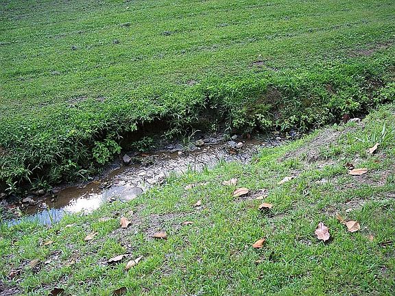 Small creek in front yard
