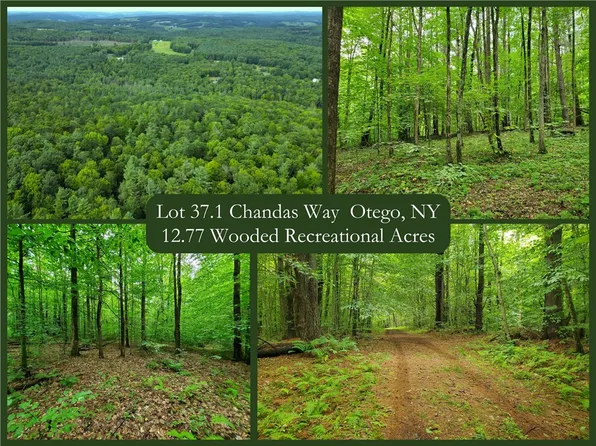 LOT 37.1 Chandas Way #37, Otego, NY 13825