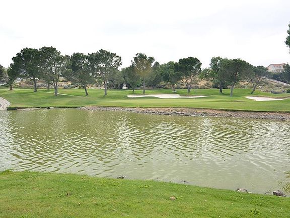 5th image of 13980 Driftwood Dr