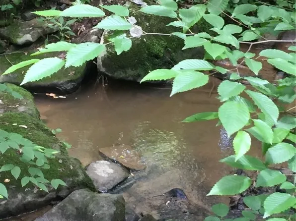 16 Mountain Laurel Ln, Farmington, PA 15437