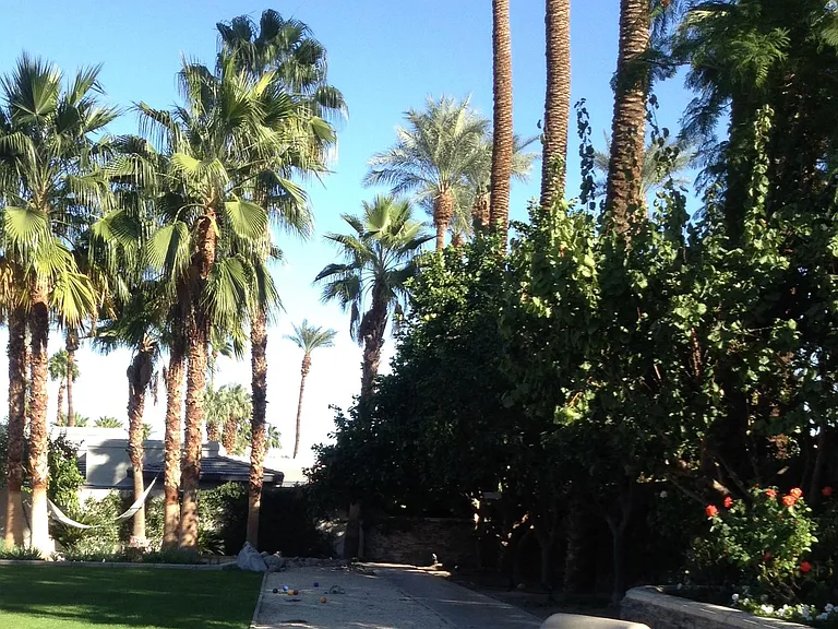 Bocce Ball 64' X 8' run includes horseshoes too.