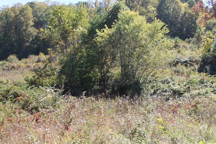 2nd image of TRACT Four Providence Rd