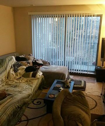 3rd image of 1200 W Northwest Hwy APT 101