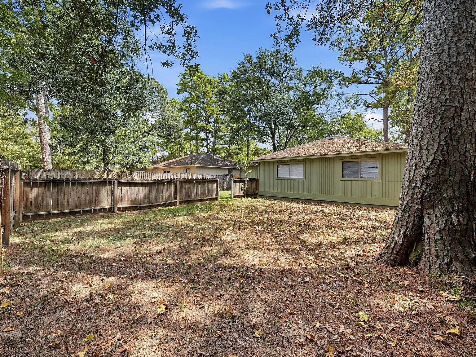 3 bed, 1.5 bath, 1041 sqft, $1,750 — Photo 3