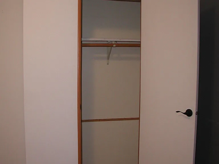 Bedroom #2 Closet