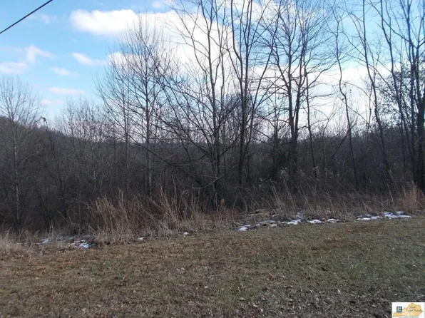 4137 Persimmon Kessler Ridge Rd, Tompkinsville, KY 42167