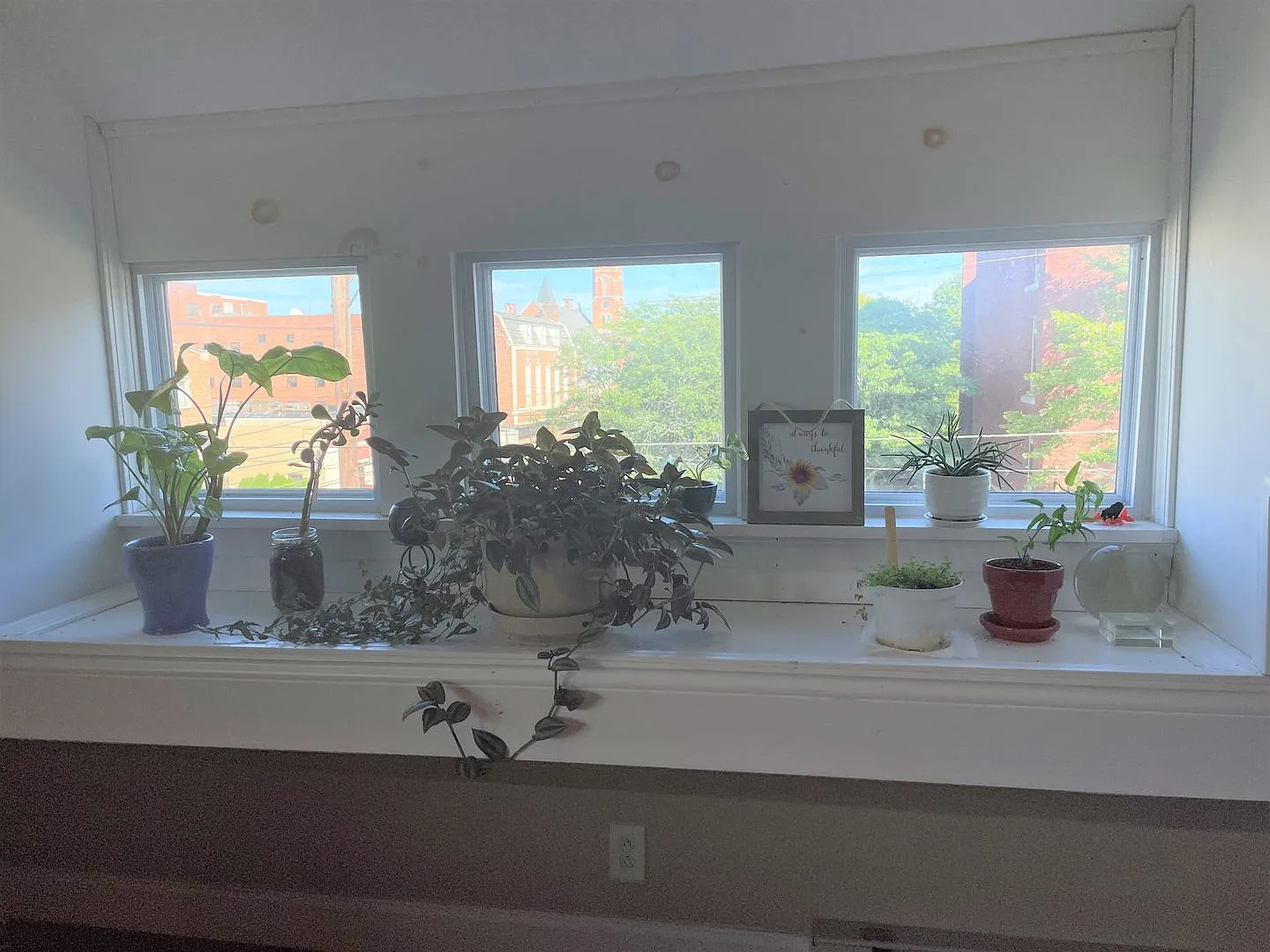 51 Main Street, Binghamton NY-available for 2025-2026 school year — Photo 4