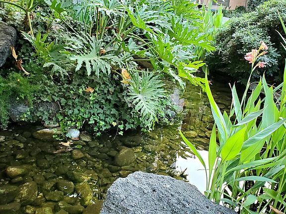 Courtyard water feature