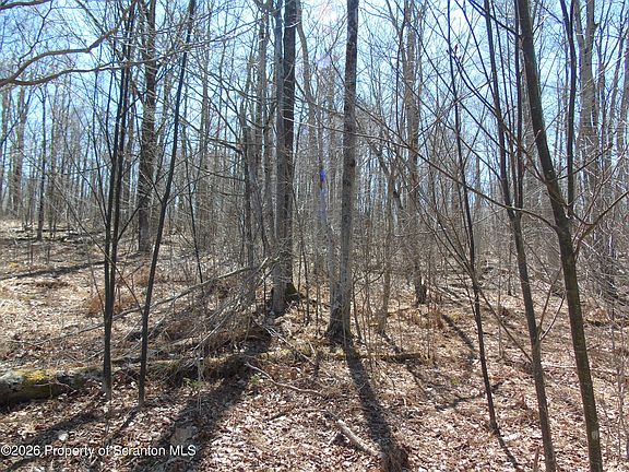 4th image of 145 Summit Woods Rd
