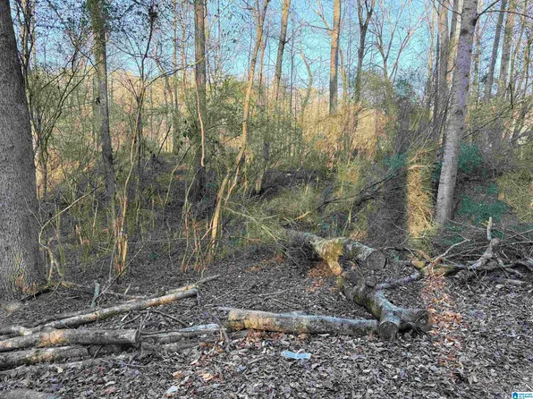 1 Scott Rd #0, Cordova, AL 35550