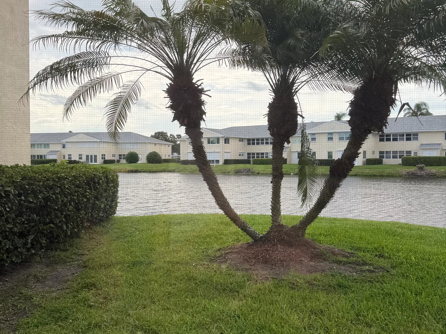 2 bed, 1400 sqft, $2,000 — Photo 3
