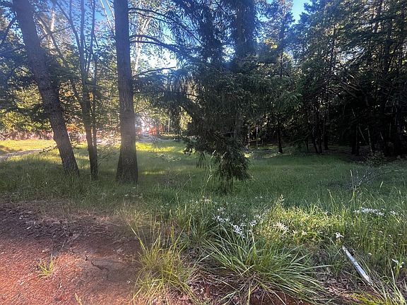 3rd image of 26048 Peacock Road